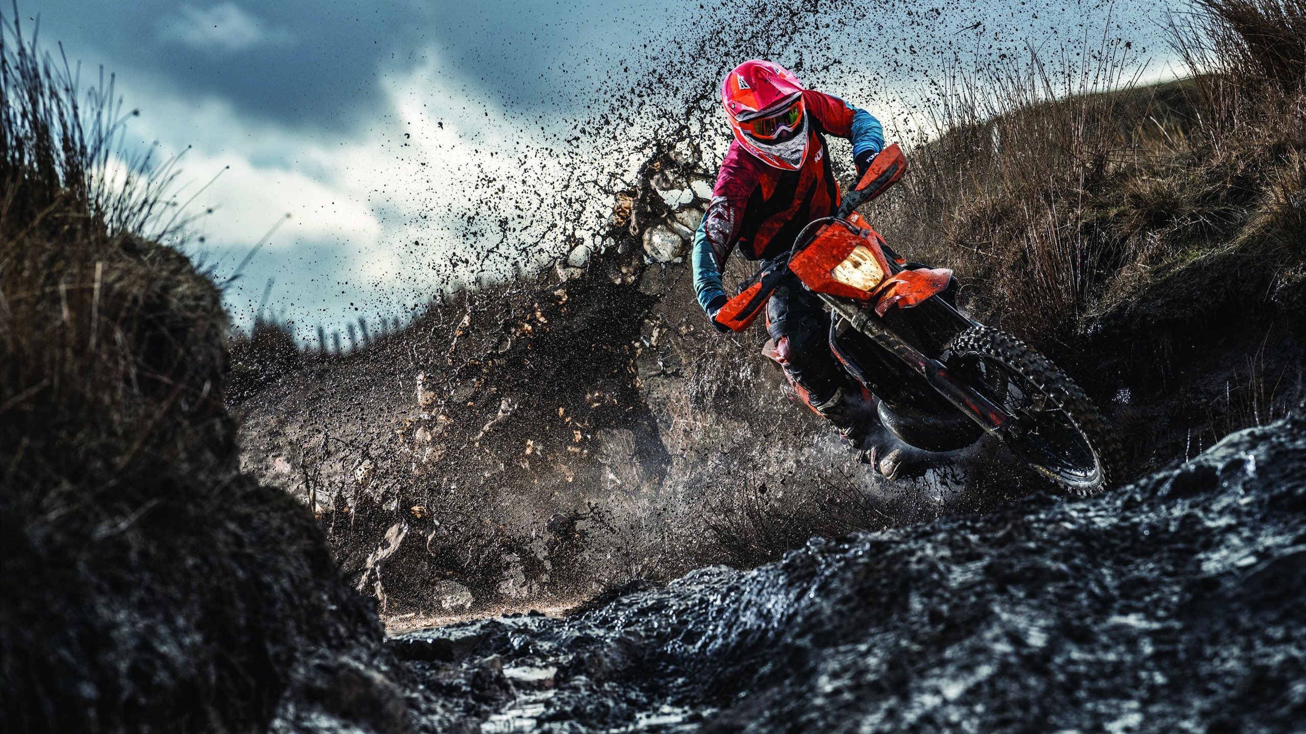 绿茵场与乒乓台的双重震撼，韩国队横扫德国，梁靖崑刷新纪录的启示